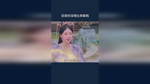 迟来的深情比草贱
