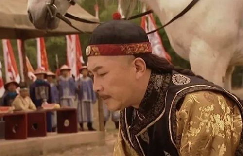全天下都等我当太子(100集)_全天下都等我叛变