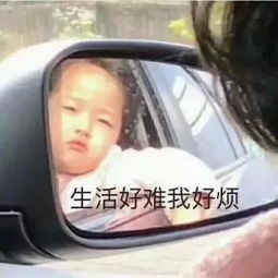 拜托！哥哥放过我（80集）_哥哥拜托拜托表情包