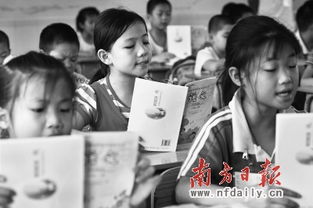 西莞打工人（100集）_东莞打工仔