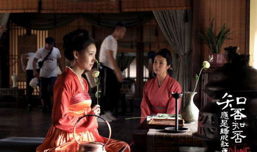 回到古代当太监_回到古代当太监女主是谁