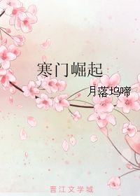 寒门崛起_寒门崛起在线阅读全文免费