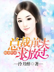 替罪新娘：前夫，放过我（99集）_小说替罪前妻
