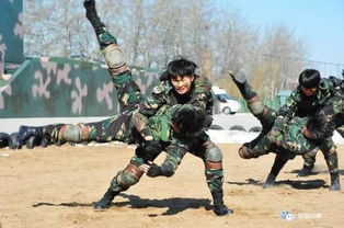 特战龙帅（100集）_特种兵龙战