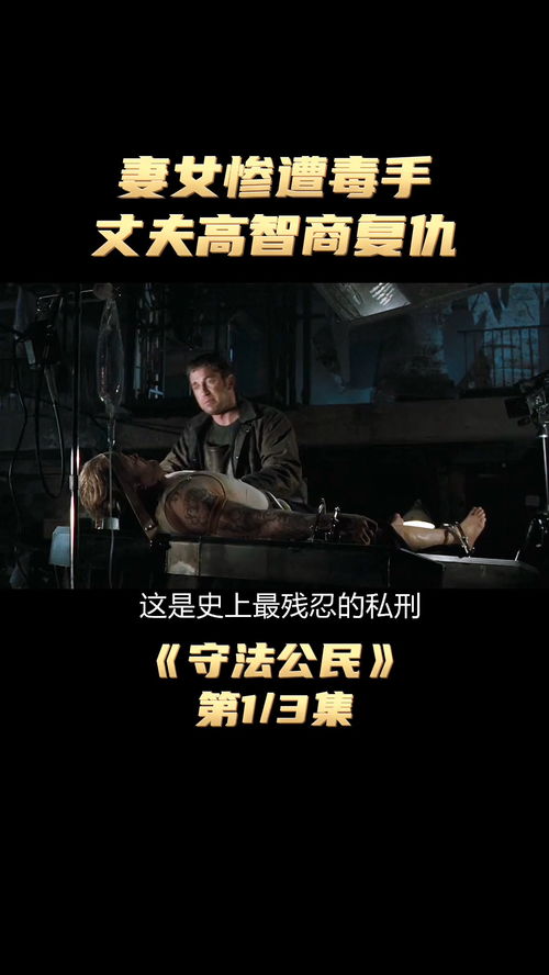 复仇渣夫后我嫁给他小叔（85集）_复仇虐渣后请攻略