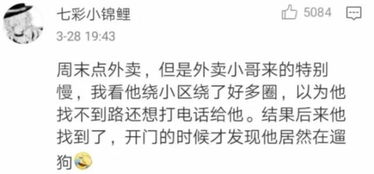 我给神仙送外卖（103集）_我给神仙送外卖 遥看云端