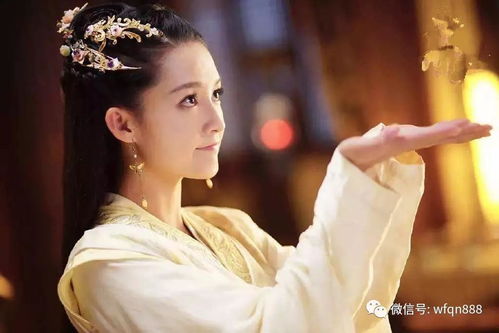 沐小姐，您豪门千金的身份瞒不住了（100集）_沐小姐又掉马甲了全文免费阅读
