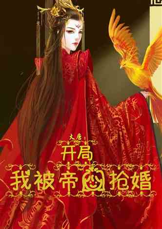 扭转乾坤从抢婚开始（93集）_小说扭转乾坤