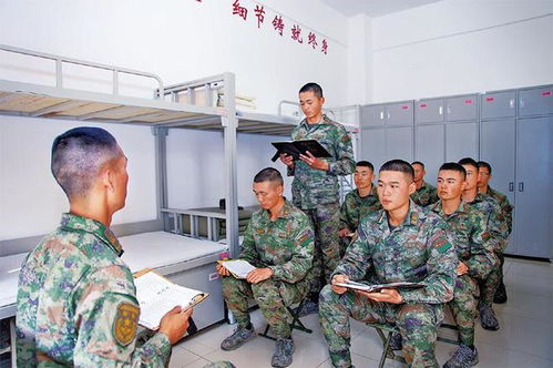 71集_71集团陆军多少人