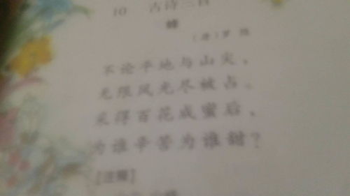 千金宝贝 长篇_千金宝贝的意思是什么