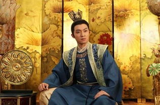 太子太子你好坏（100集）_《太子,你好甜》
