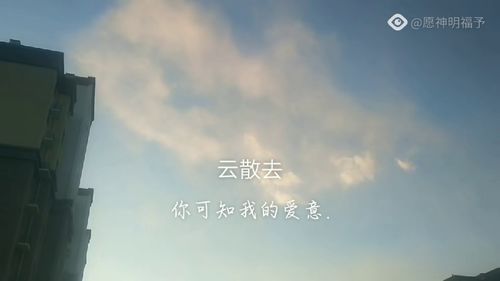 不负云意（95集）_不负云和月
