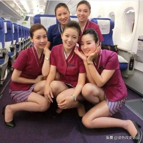 我的空姐老婆_我的空姐老婆网剧