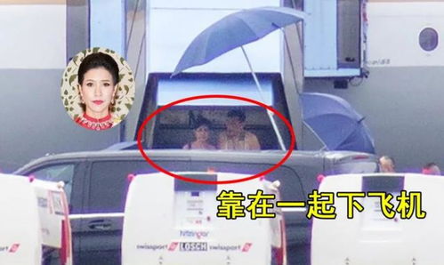 陆总小心点，致命马甲要掉了（一不小心结错婚） 60集_一不小心嫁总裁免费阅读全文
