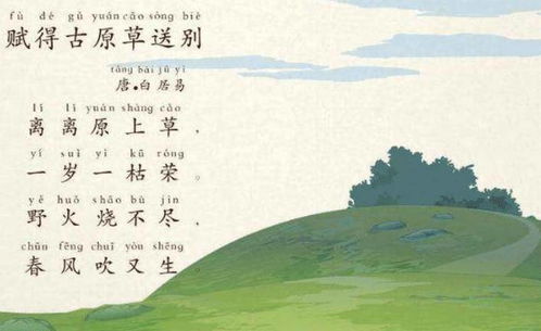 孤注一掷之卧龙_孤注一掷之卧龙免费完整观看高清