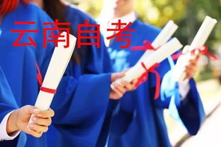 新：相亲走错桌（88集）_新相亲系列