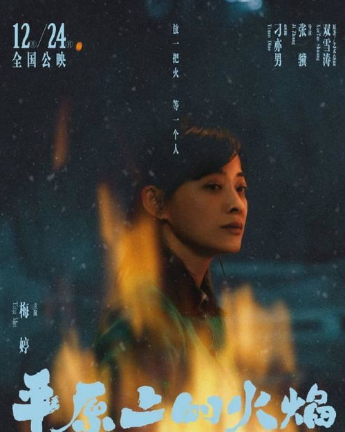 爱如烈火焚身（69集）_爱如烈火焚烧我心免费