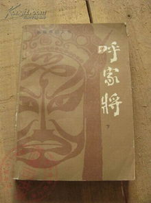 护国天王【长篇】_电子书护国天王17章