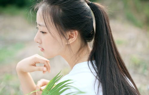 离婚后，高冷女总裁悔不当初（81集）_离婚后总裁后悔了在线阅读