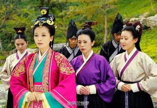 总裁夫人是郡主(74集）_总裁夫人是财主小说