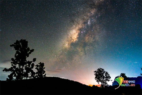 今夜繁星似你(99集)_今夜繁星璀璨
