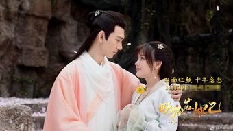 双面红颜（100集）_双面红颜全集