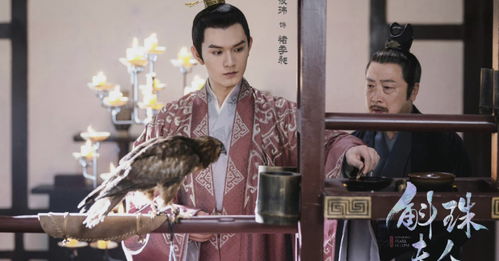 替嫁后秦太太被迫靠演技苟活（100集）_替嫁成婚秦舒
