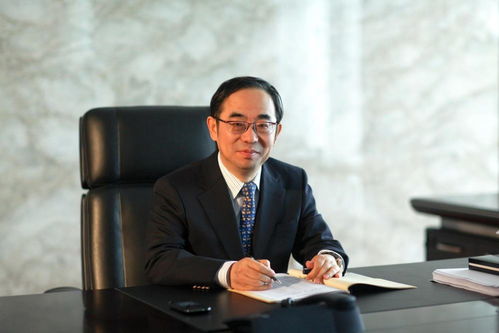 替嫁后发现老公是隐藏首富（96集）9_替嫁新妻是隐藏大佬