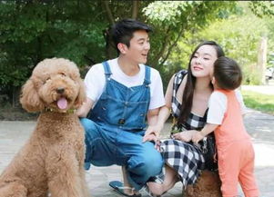 捡来的忠犬老公是亿万富翁（82集）_捡到的忠犬是饿狼