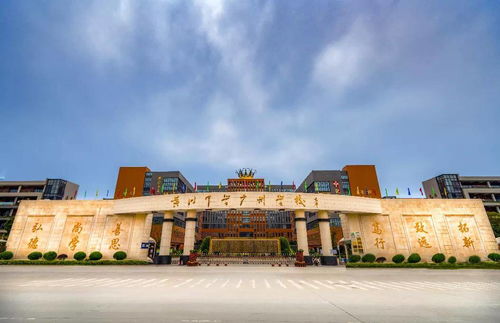 龙游花都（96集）_龙游花都全文免费阅读