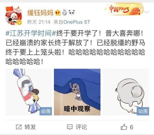 爹地快把妈咪抢回家（84集）_爹地快把妈咪抢回来一胎三宝下载