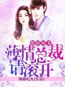 傲娇总裁每天都在争风吃醋(81集）_傲娇总裁甜宠妻全文免费阅读