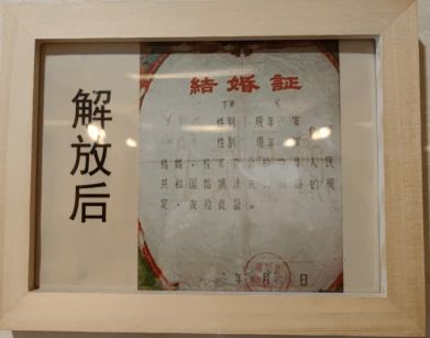 神医下山：开局五张婚书（92集）_神医下山五份婚约免费阅读