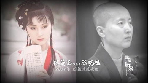 绝世宠爱（92集）_绝世宠爱92集在线观看免费