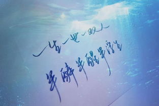 你是我的乍见之欢（80集）_你是我的乍见之欢也是我的处之不厌
