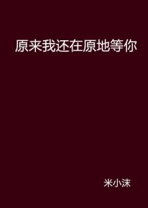 我不会在原地等你（48集）_我不会在原地等你小说