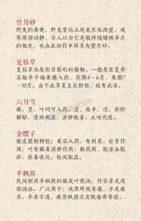 宁北王（101集）_宁北王小说叫什么名字