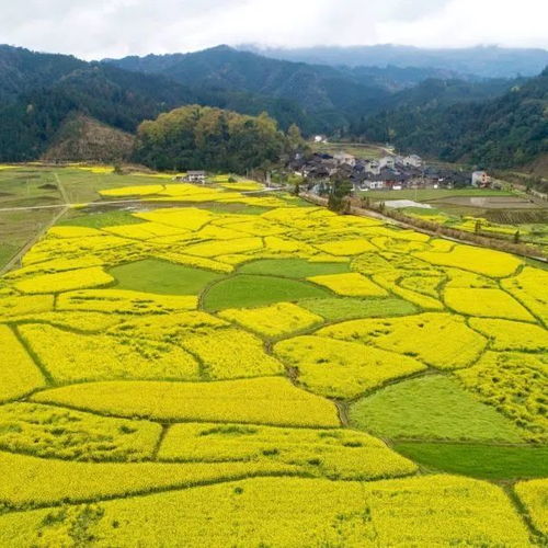 锦屏春暖（84集）_