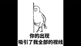 这白月光我不当了（98集）_这白月光我不当了98集