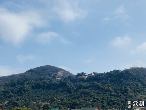 姜还是老的辣（70集）_姜还是老的辣这句话是什么意思