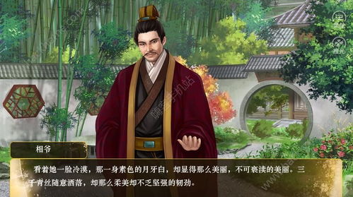 傻王夺嫡开局就藩西凉_傻王夺嫡开局就藩西凉全集免费观看