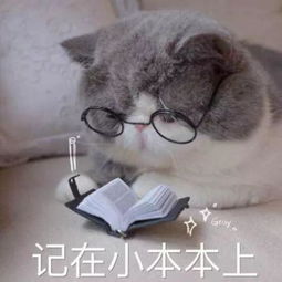 哎呀这个天后有点凶（79集）_哎呀这个天后有点凶(79集)下