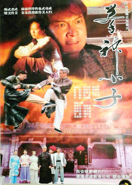 盖世拳神（77集）_盖世拳 电影