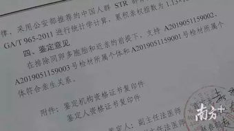 报告傅总！太太她又离家出走了（68集）_报告傅总太太她又离家出走了68集
