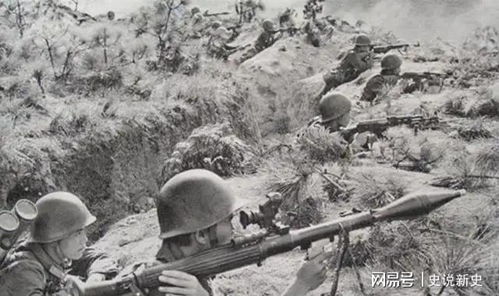 决胜反击（89集）