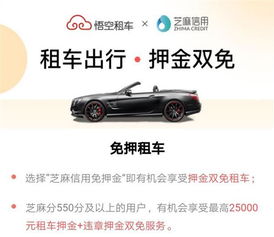 嘉兴小面汽车租赁多少钱