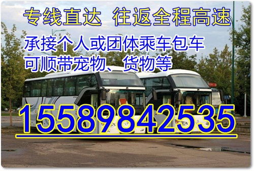 哈尔滨旅游汽车票多少钱