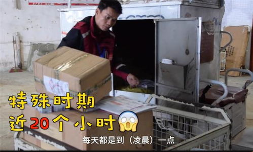 快递一辆汽车多少钱