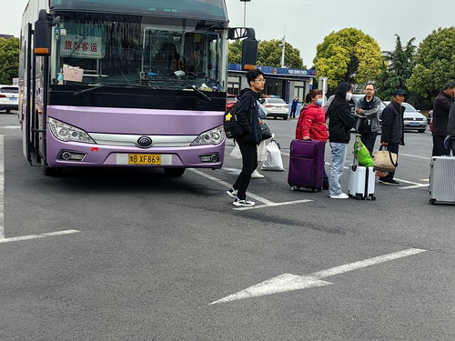 新沂到郯城汽车多少钱