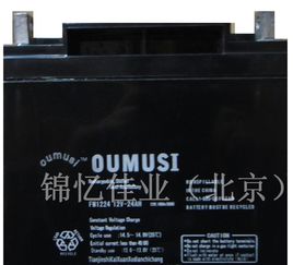 欧姆莱汽车电池多少钱